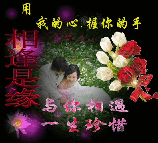 歌曲:今夜真的好想你演唱:梅朵散文诗:《珍惜今生》作者:保尔