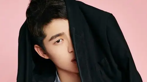 小鲜肉刘昊然桌面壁纸第3张