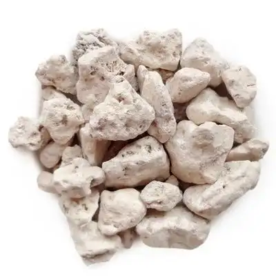 《中药大辞典》:炉甘石