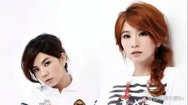 田馥甄与陈嘉桦:历经风雨,友情依旧