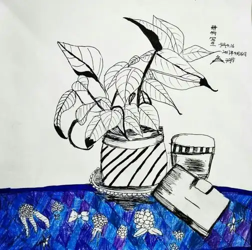 4.16丹尼斯校区白石大师班周日上午作品写生《静物组合》