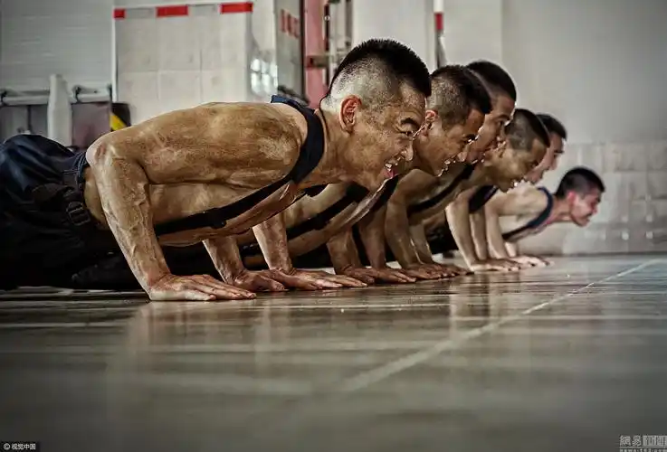 每日轻松一刻5月12日 菊花随时会被爆?它原来也会爆炸
