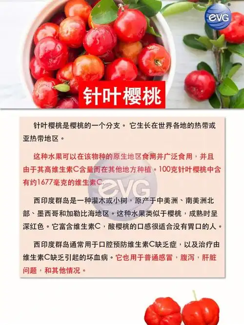 来自大自然界的珍贵植物成分针叶樱桃