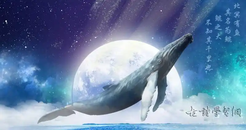 北冥有鱼庄子文言文原文注释翻译