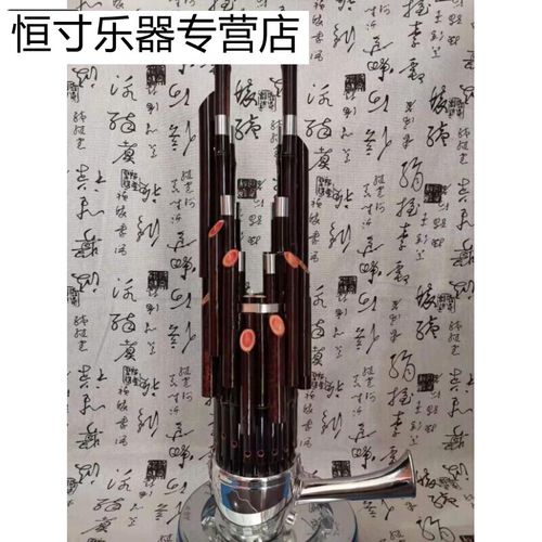 乐器定做定制厂家直销17簧扩音笙活盖笙斗142124 普通轻体盒装