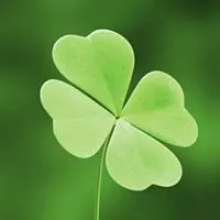 男人好运的头像2020绿色植物头像_微信头像图片大全