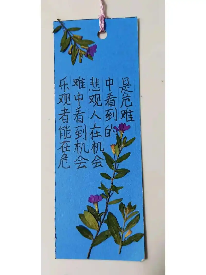干花心理健康书签 干花心理健康书签#干花#自创好看吧787878