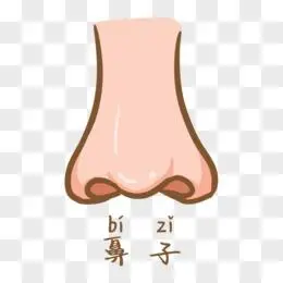 卡通手绘五官鼻子元素