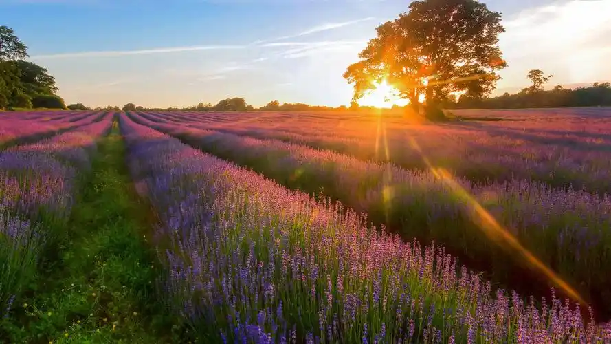 大自然夕阳唯美意境电脑壁纸高清大图