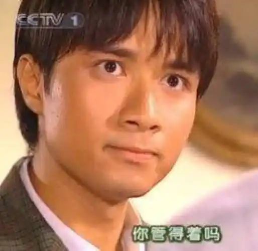 你管得着吗 - 《情深深雨蒙蒙》何书桓表情包 _古巨基_何书桓_影视