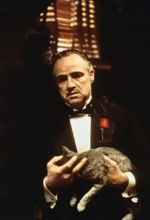 一《教父》   人们提到马龙·白兰度时,往往会谈及两点.