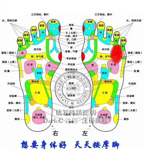 左脚如图,红色穴位处平时站立稍疼痛,用手按疼痛加剧.该怎么解决