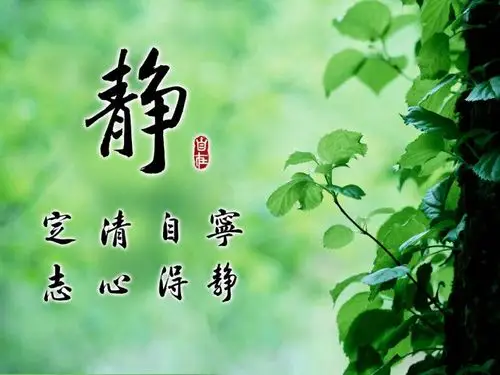 【宁静】宁静致远,厚积薄发——柳岸社团贺淡泊宁静社团隆重成立