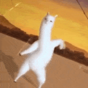 滚(熊猫头怼人表情包)此时一位没有钱还欠好几万被人追杀的网友路过