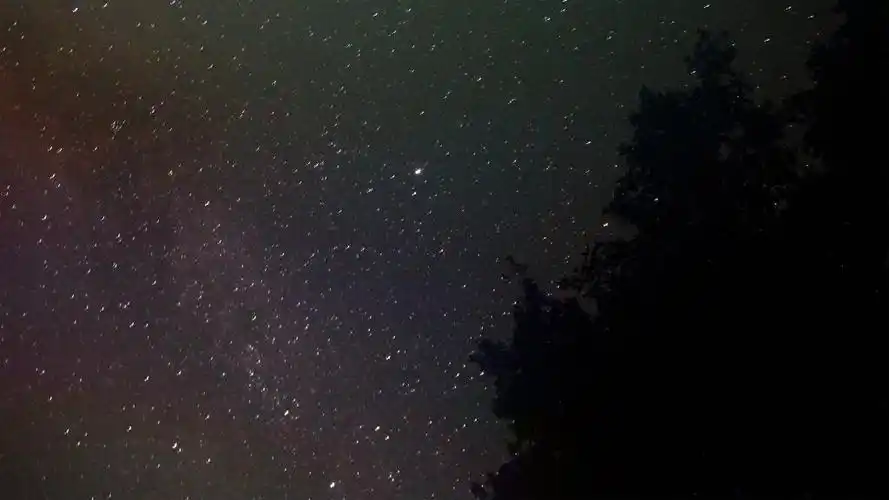 星星,银河,天空,晚上,黑暗,晚上,树木