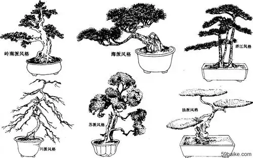 盆景分类盆景风格与流派