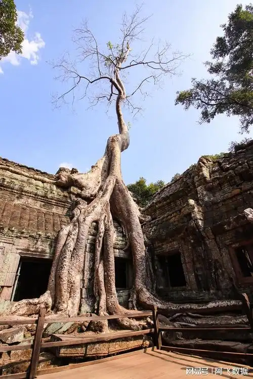柬埔寨吴哥窟旅游攻略和景点亲历建议