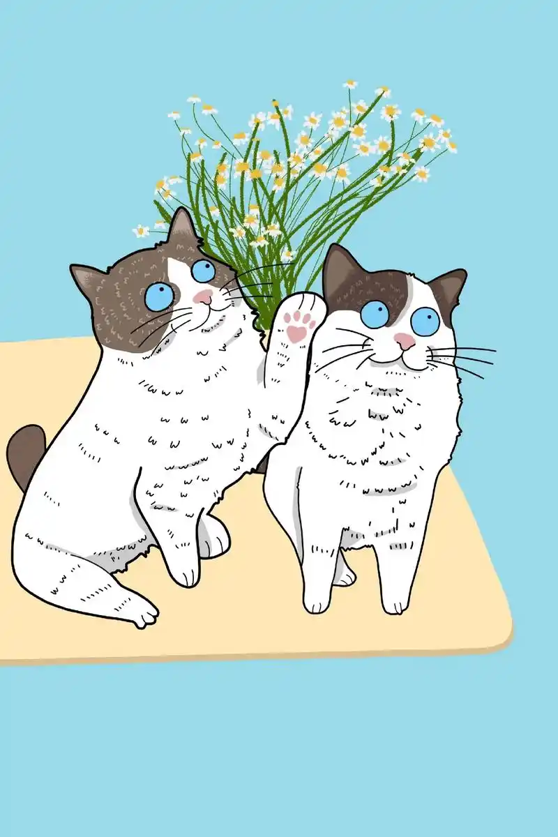 粉丝的可爱猫咪 #萌宠 #治愈 #原创漫画 #抖音图文来了  - 抖音