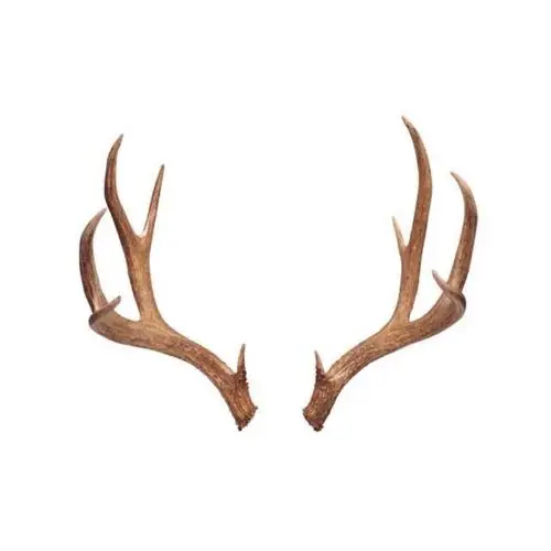 抠图素材 微博偷图