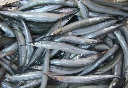 大型空气能棒鱼烘干机针鱼马步鱼低温除湿干燥设备节能接电即用免安装