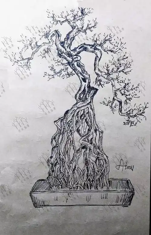 盆景设计i映山红造型设计对桩材的规划应该是是锦上添花