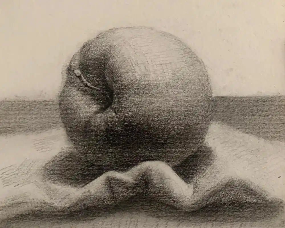 素描苹果(炭笔)#素描 #零基础学画画 #美术生 #素描静物 - 抖音