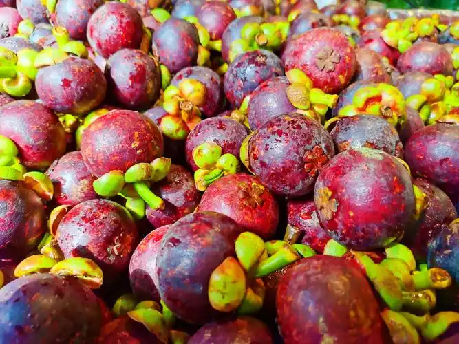 水果山竹原创拍摄