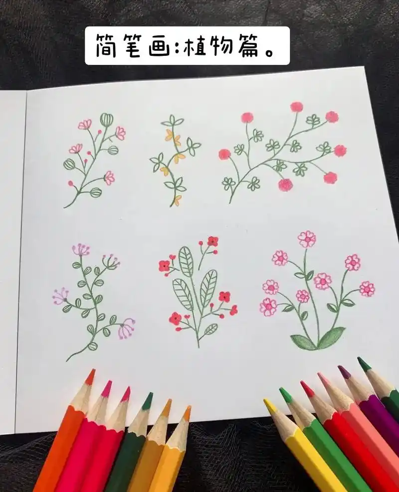 简笔画植物篇一颗颗童心绘制一幅幅童趣之作简笔画