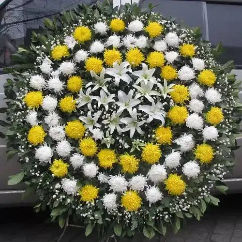 冬珊菊花大花圈悼念先人葬礼过世鲜花同城速递商务送花清明节丧葬北京
