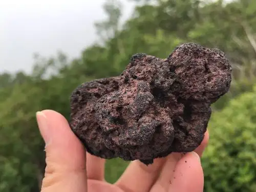 japan im coming(四)