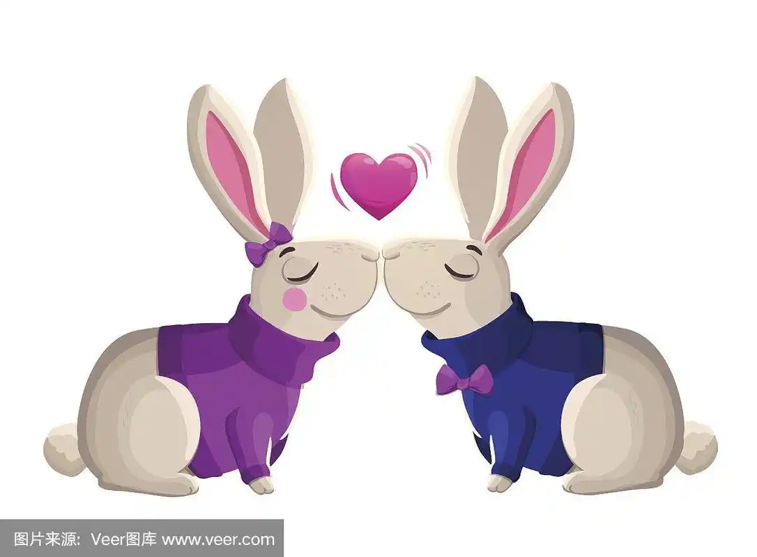 两只接吻的兔子孤立在白色背景上.