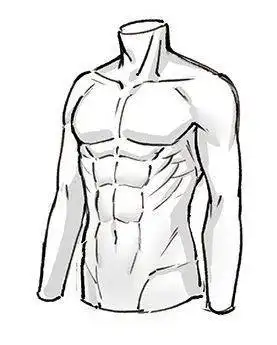 男生上半身怎么画教你上半身肌肉的画法教程