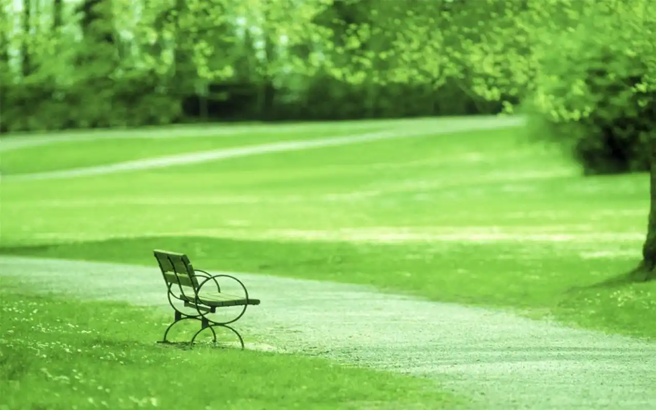 简约清新绿色风光高清桌面壁纸