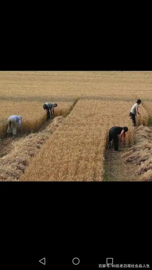 农村60年代那些人和事