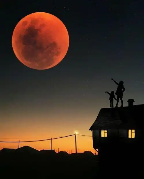 最精辟的情感文案句句有深度有内涵