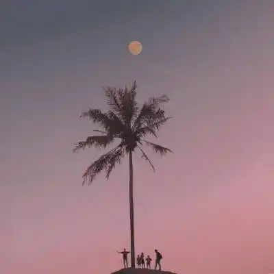 40岁男人微信风景头像118