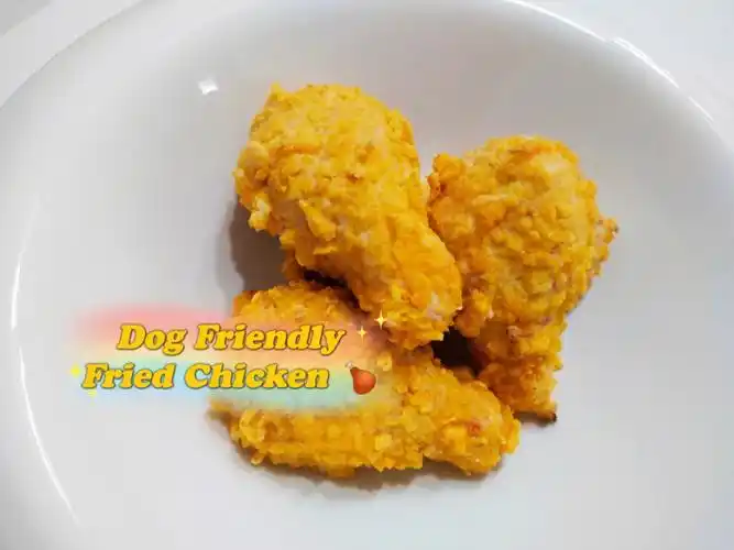 petfriendlyfriedchicken