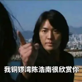 窝铜锣湾陈浩南很欣赏你(郑伊健表情包)