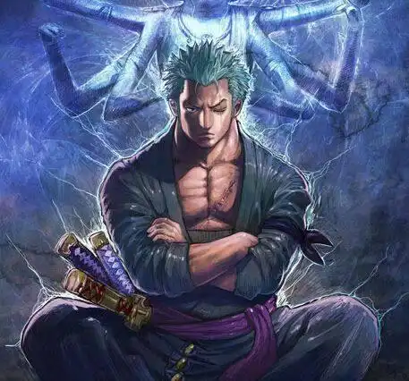 索隆高清手机霸气头像 - 搜狗图片搜索