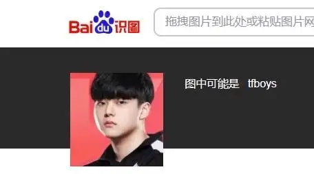 百度识图你真的太离谱了