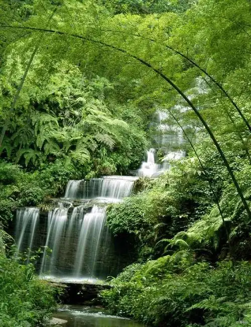 竹影婆娑溪水碧