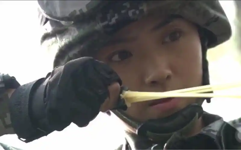 意难平雷战叶寸心