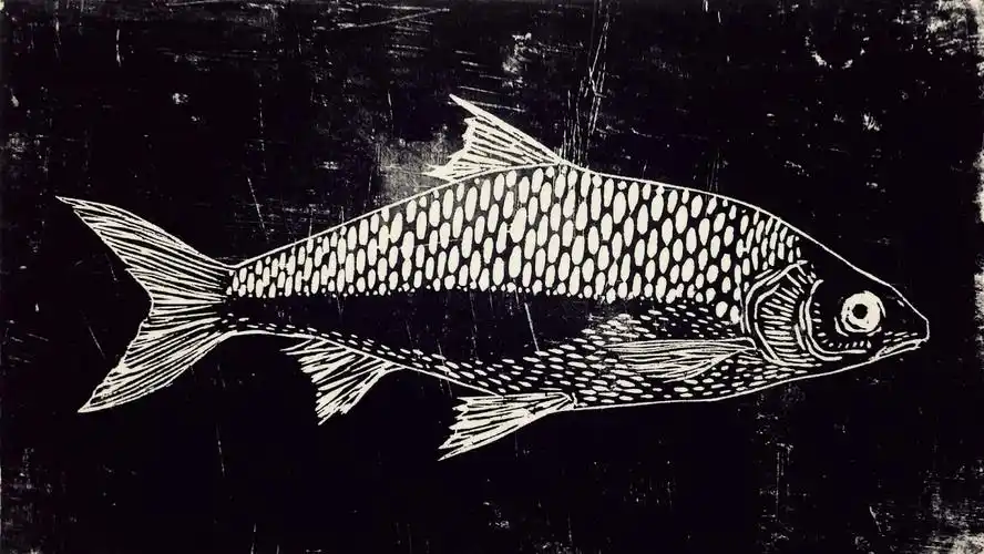 刚刚接触版画,想着以后慢慢地把自己的插画利用版画的方式创作出来