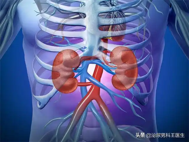 尿毒症为何越来越多避开伤肾的这4个误区很重要