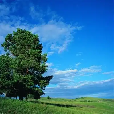 阳光风景头像很高清蓝天最美风景微信头像