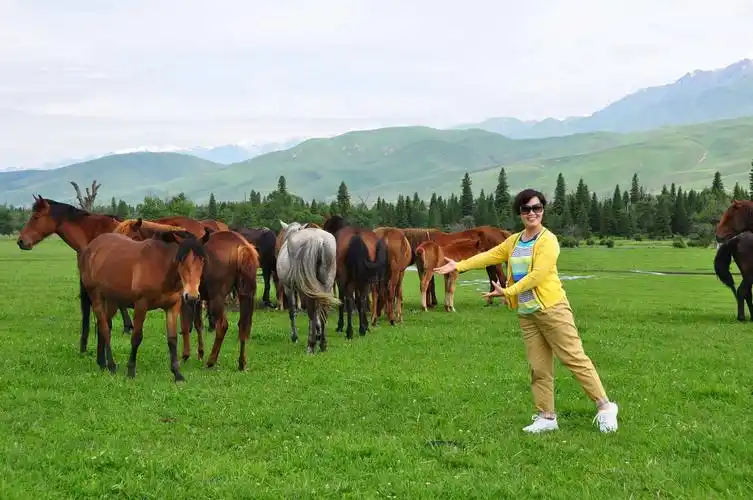 北疆看风景——那拉提大草原【一】.