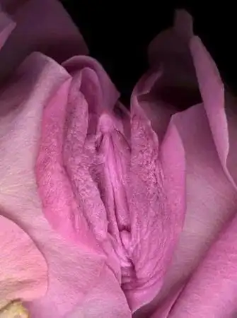 科普女人外阴有多少种形状不同女性的外阴在颜色上有什么变化