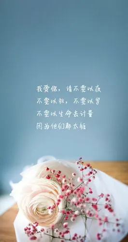 唯美伤感的图片带句子的文字美图