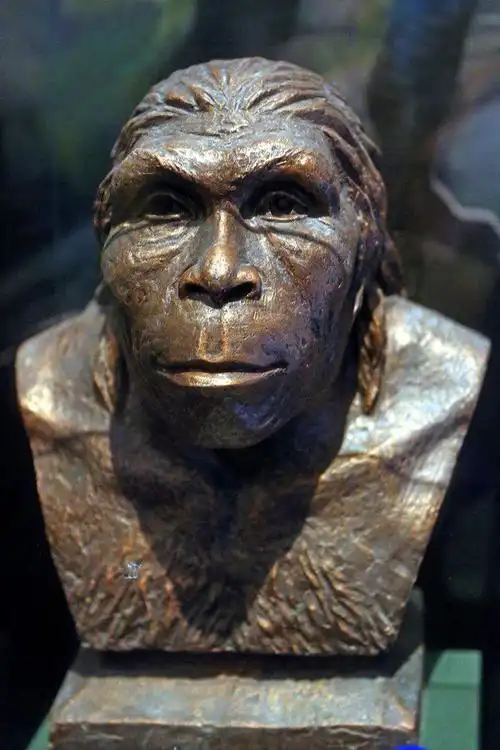 1929年,在北京周口店的山洞里,发现了距今有70~20万年的北京人头骨