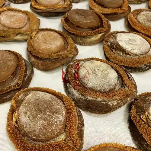 苏伯(subo) 【礼盒装】两头大溏心南非干鲍鱼2头糖心鲍礼品(2只500克)